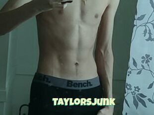 TaylorsJunk