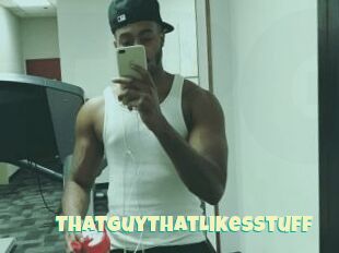 ThatGuyThatLikesStuff