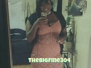 TheBigFine304