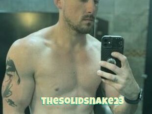 TheSolidSnake23