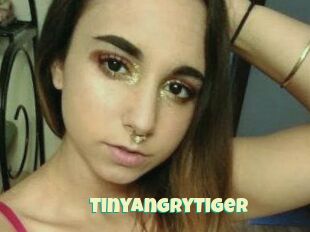 TinyAngryTiger