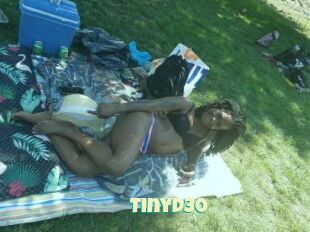 TinyD30