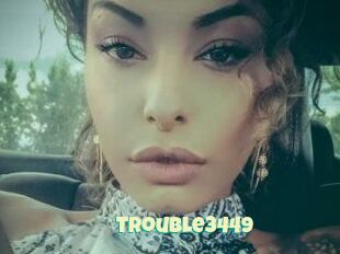 Trouble3449