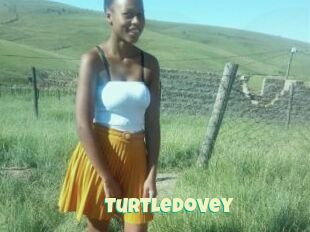Turtledovey