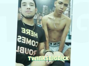 Twinksbigdick