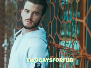 TwoGaysForFun