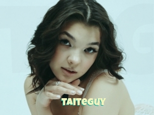 Taiteguy