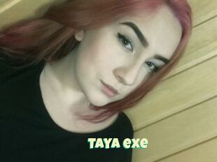Taya_exe