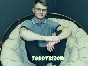 Teddybizon