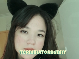 Terminatorbunny