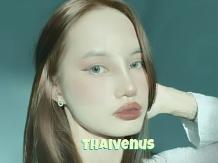 Thaivenus