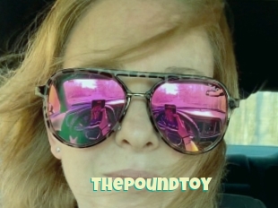 Thepoundtoy