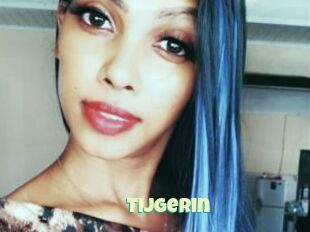 Tijgerin