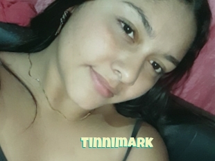 Tinnimark