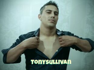 Tonysullivan