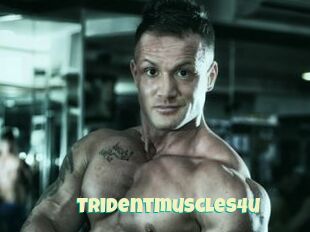 Tridentmuscles4u