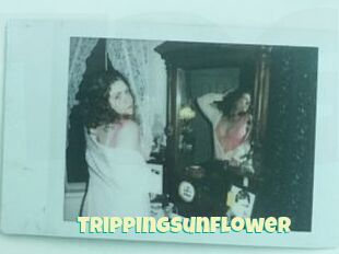 Trippingsunflower