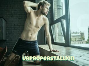UrProperStallion