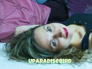 Uparadisebird