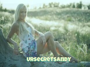 Ursecretsandy