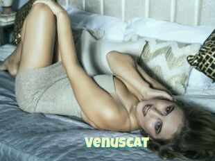 VenusCat