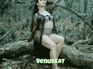 VenusKat