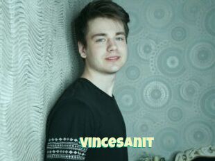 VinceSanit
