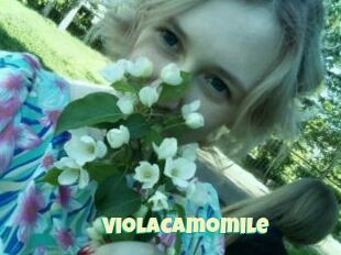 ViolaCamomile