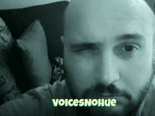 VoicesNoHue