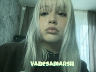 Vanesamarsh