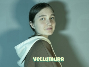 Vellumurr