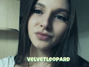 Velvetleopard