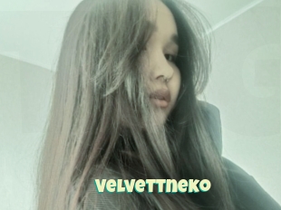Velvettneko