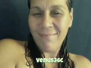 Venus36c