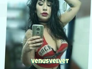 Venusvelvet