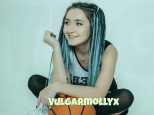 Vulgarmollyx