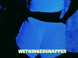 WETGiNgErSNAPPER