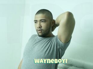 WayneBoyI