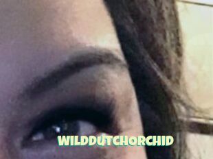 WildDutchOrchid
