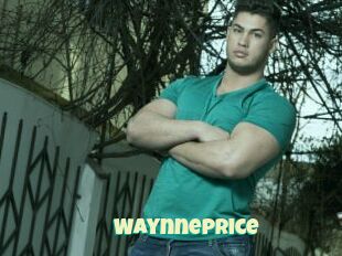 Waynneprice