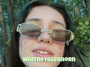 Whitneygleghorn