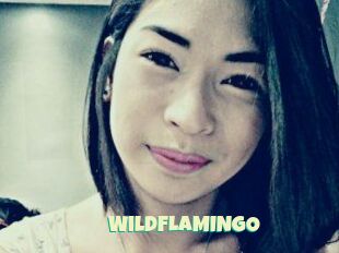 WildFLAMINGO