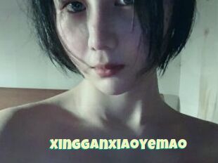 Xingganxiaoyemao