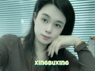 Xingbuxing