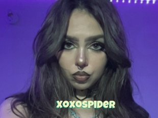 Xoxospider