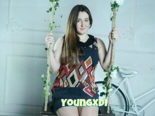 YoungXDi