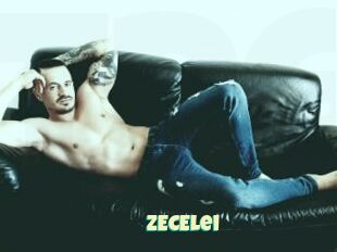 ZECElei