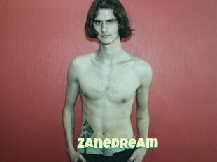 ZaneDream